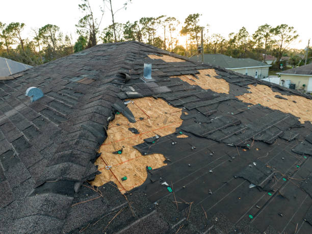 Best Asphalt Shingle Roofing  in Indian Lake, TX