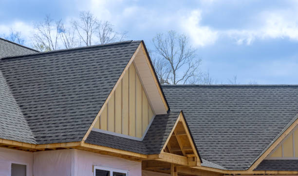 Best Roof Maintenance and Cleaning  in Indian Lake, TX