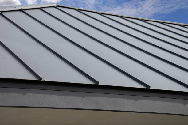 Best Flat Roofing  in Indian Lake, TX